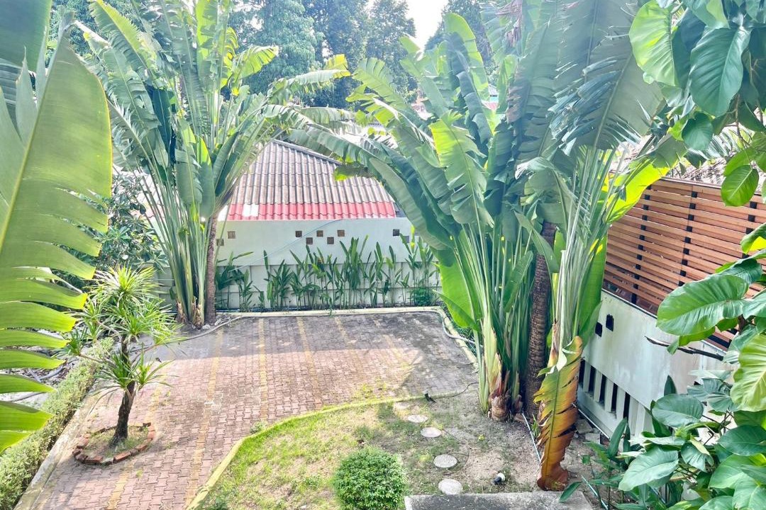 Photo of Others in Satun