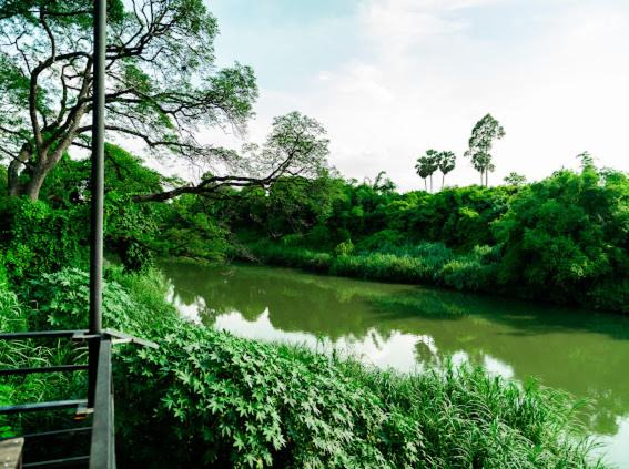 Photo of Others in Kaeng Khoi