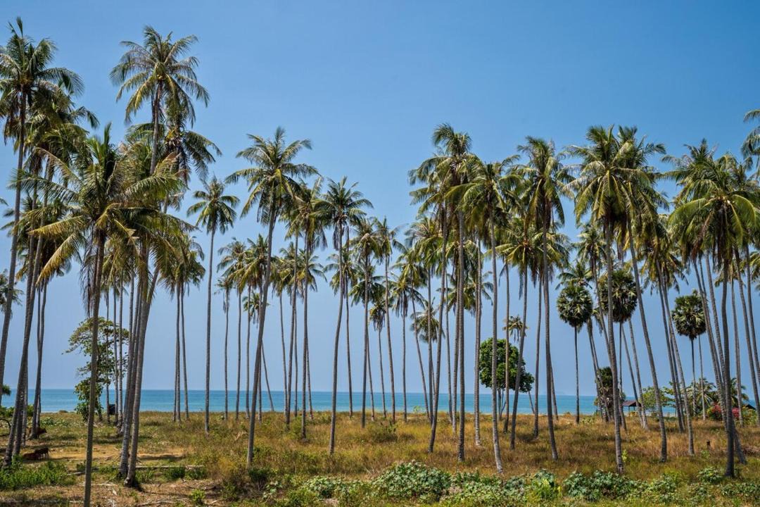 Photo of Others in Ko Lanta