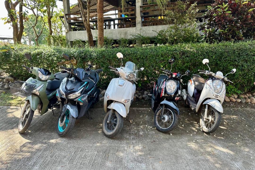 Photo of Outdoor in Pai