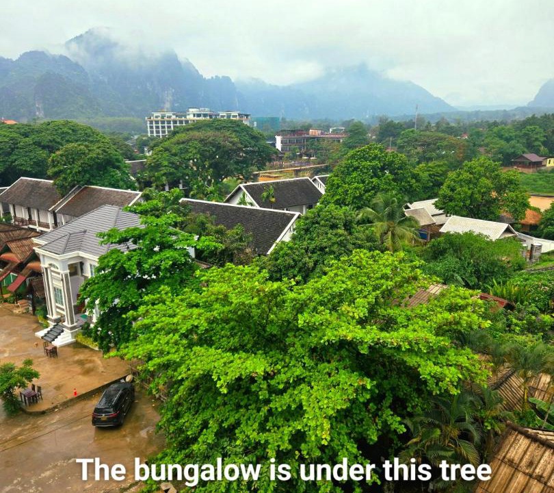 Photo of Others in Vang Vieng