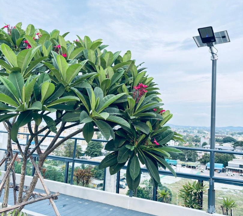 Photo of Others in North Pattaya