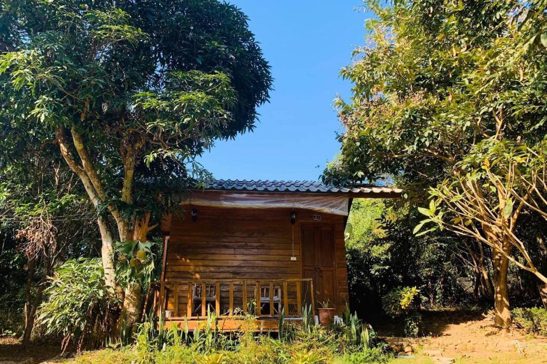 Photo of Others in Pai