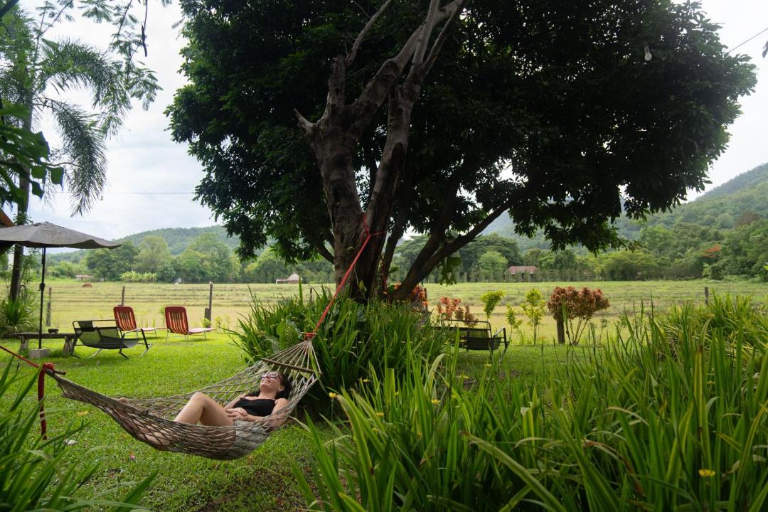 Photo of Others in Pai