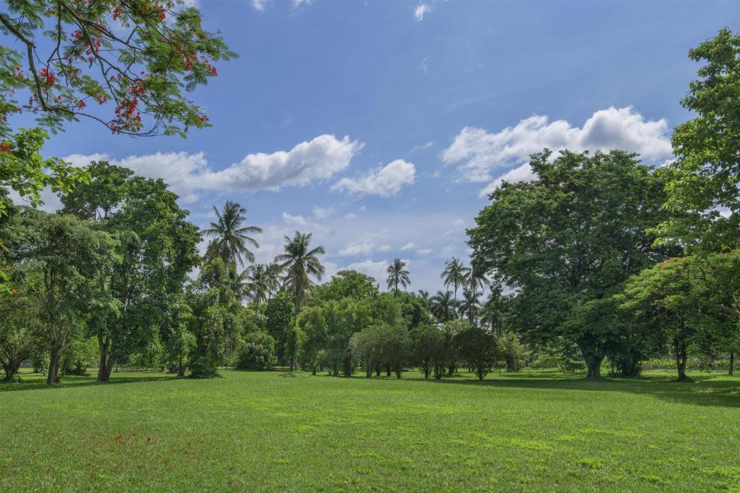 Photo of Others in Chiang Rai