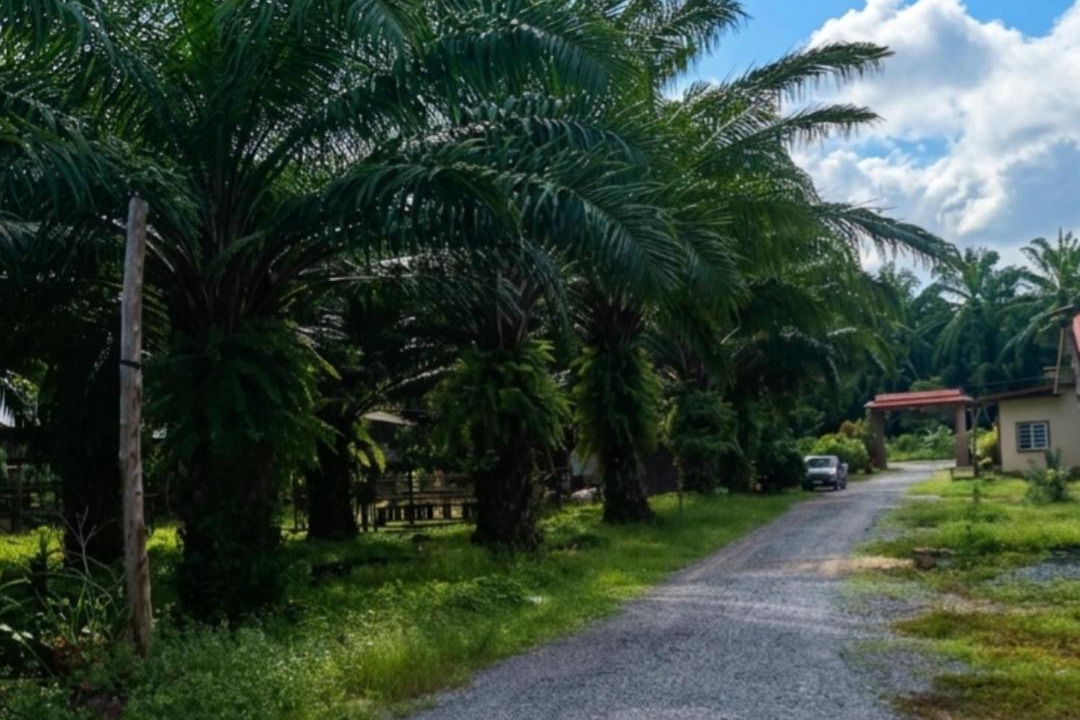 Photo of Others in Huai Nam Khao