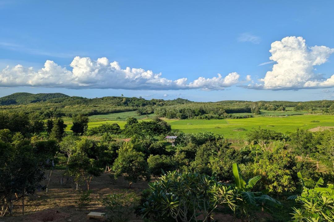 Photo of Others in Loei Province