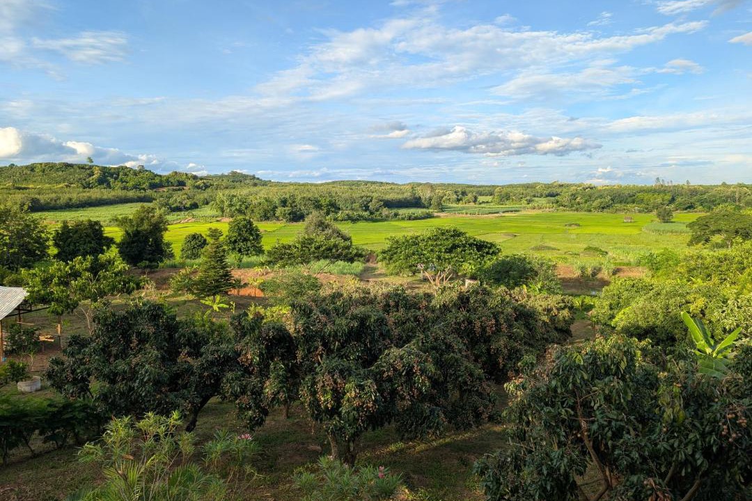 Photo of Others in Loei Province