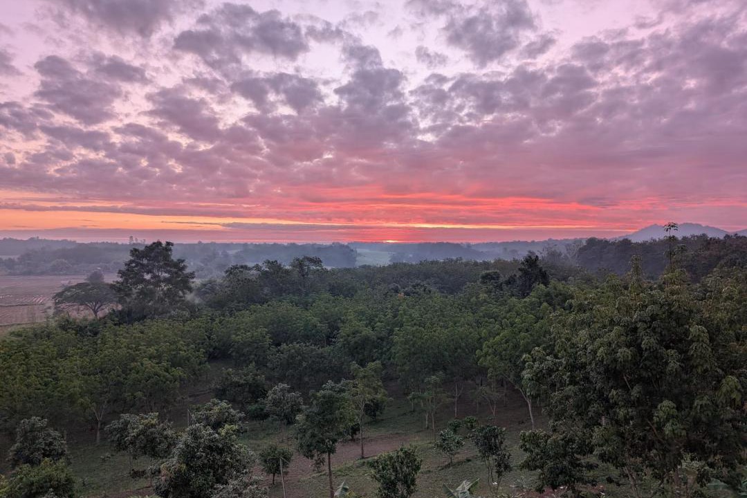 Photo of Others in Loei Province