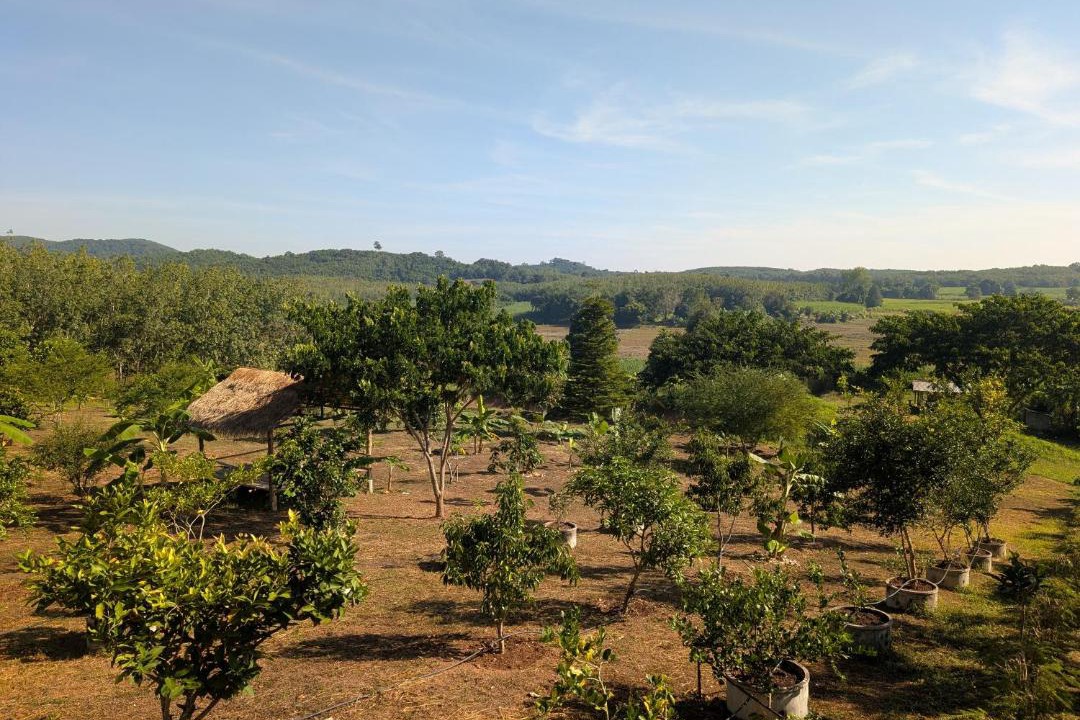 Photo of Others in Loei Province