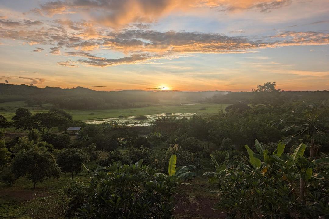 Photo of Others in Loei Province