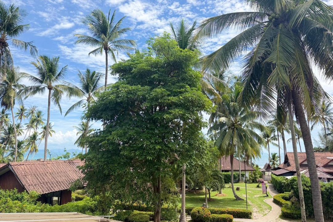 Photo of Others in Taling Ngam