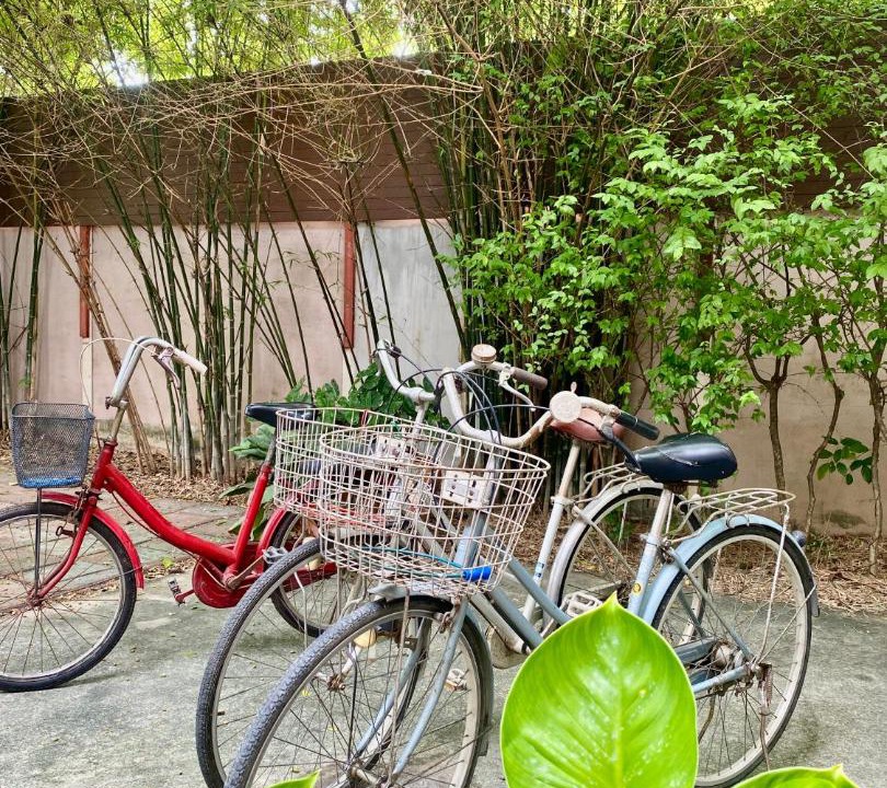 Photo of Others in Ayutthaya