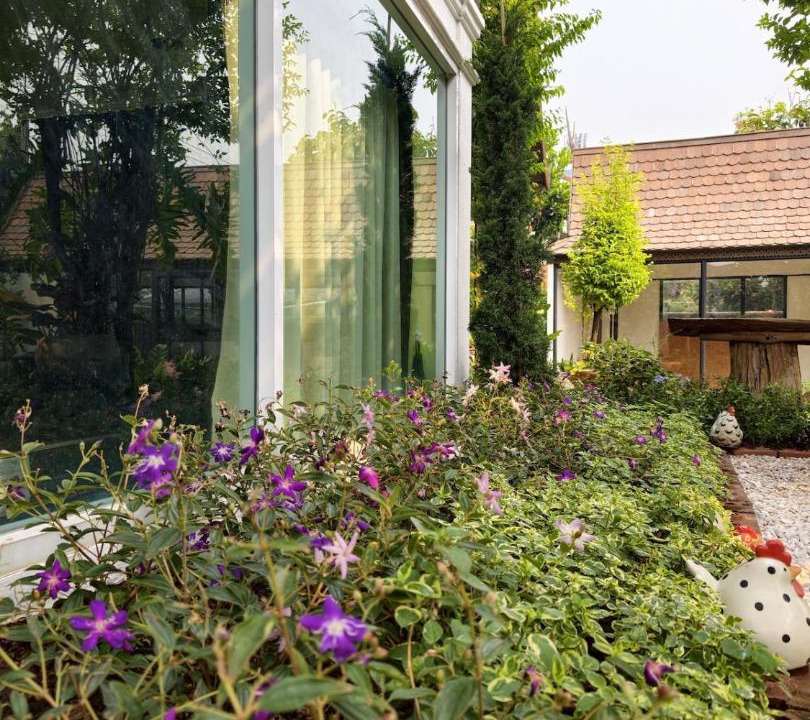 Photo of Others in Lampang