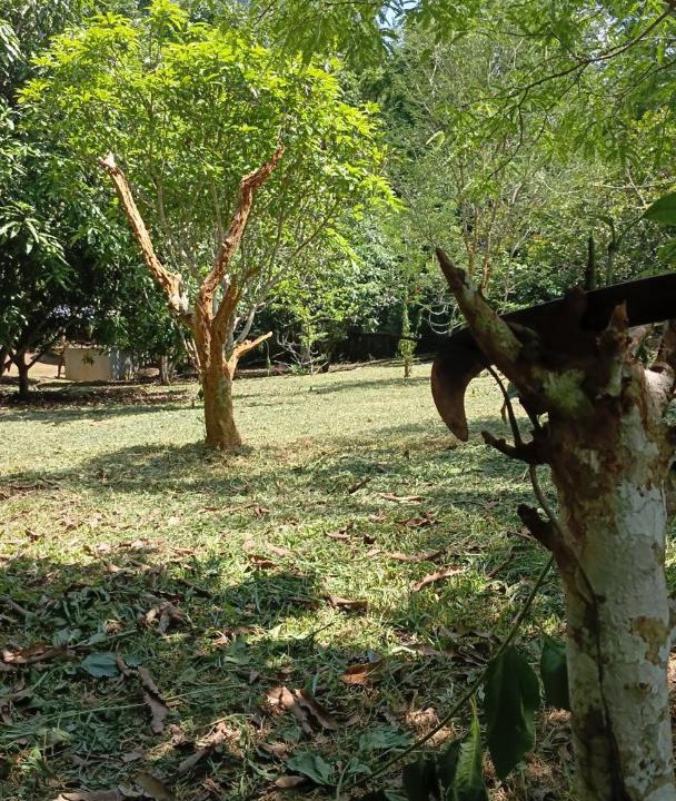 Photo of Others in Muang Ngoi Neua