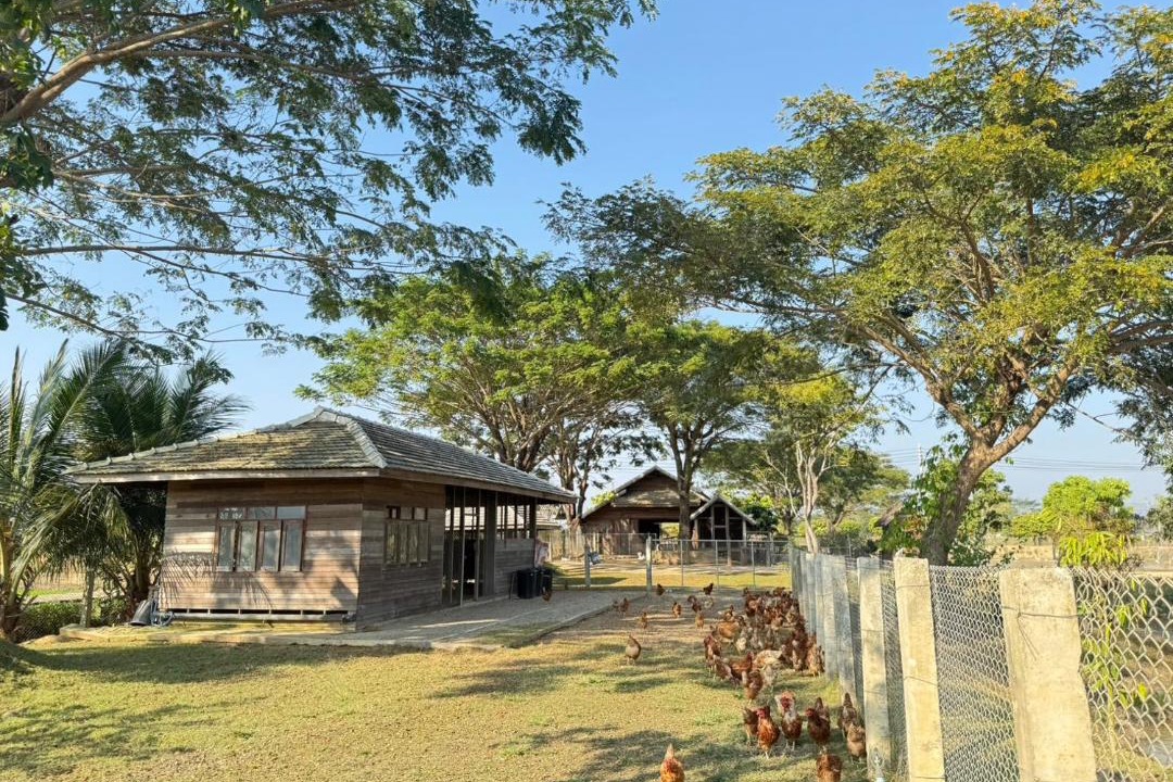 Photo of Others in Wiang Pa Pao
