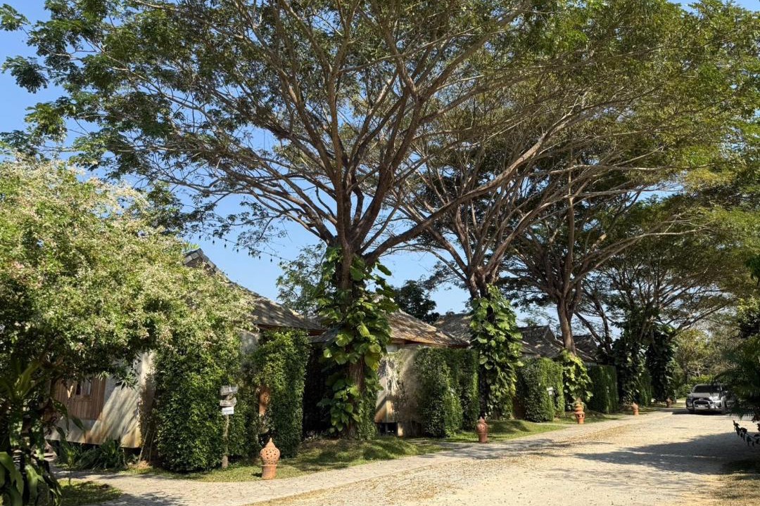 Photo of Outdoor in Wiang Pa Pao