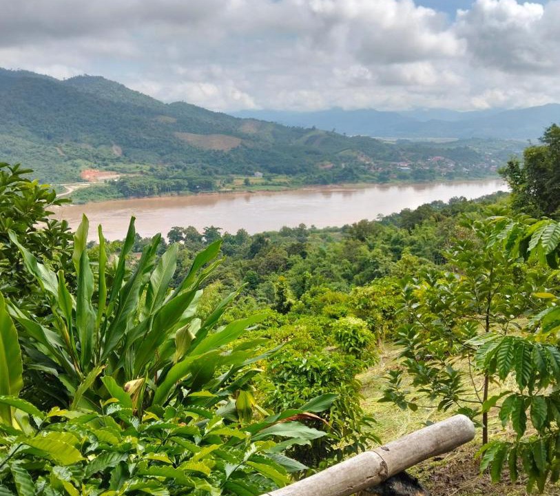 Photo of Others in Chiang Khong