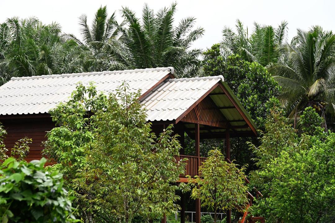 Photo of Others in Khlong Sok
