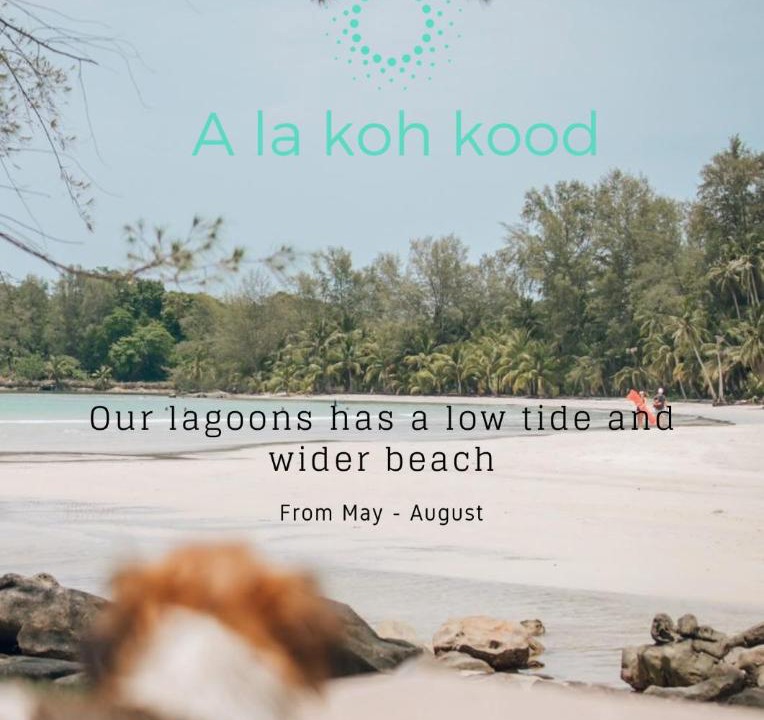 Photo of Others in Ko Kood