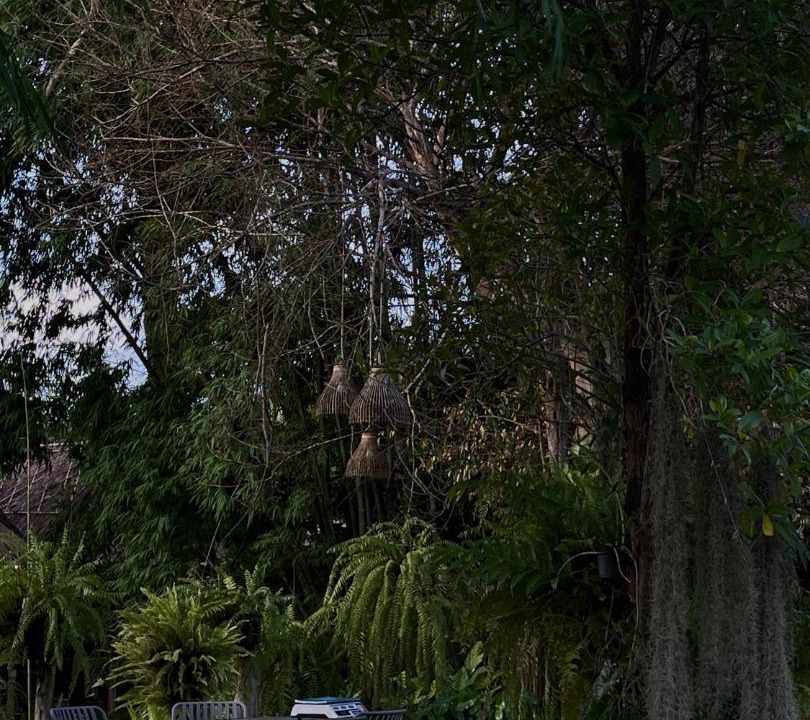Photo of Others in Khao Yai National Park