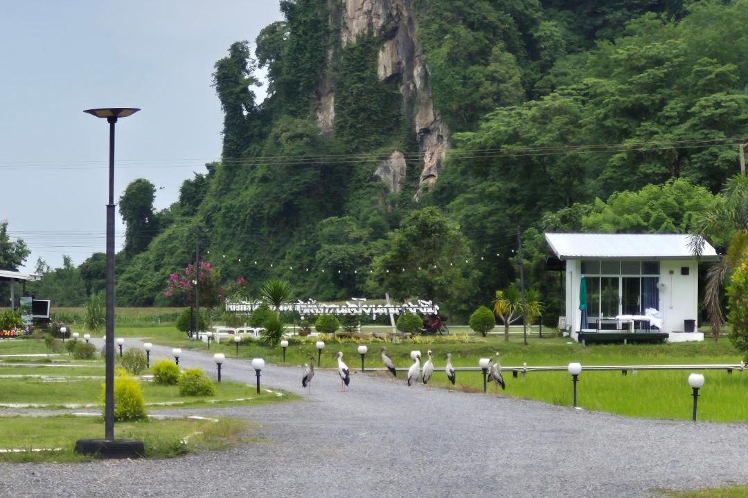 Photo of Others in Noen Maprang
