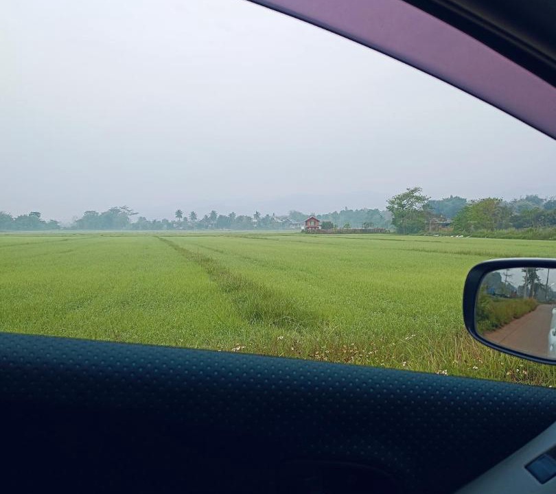 Photo of Others in Chiang Rai