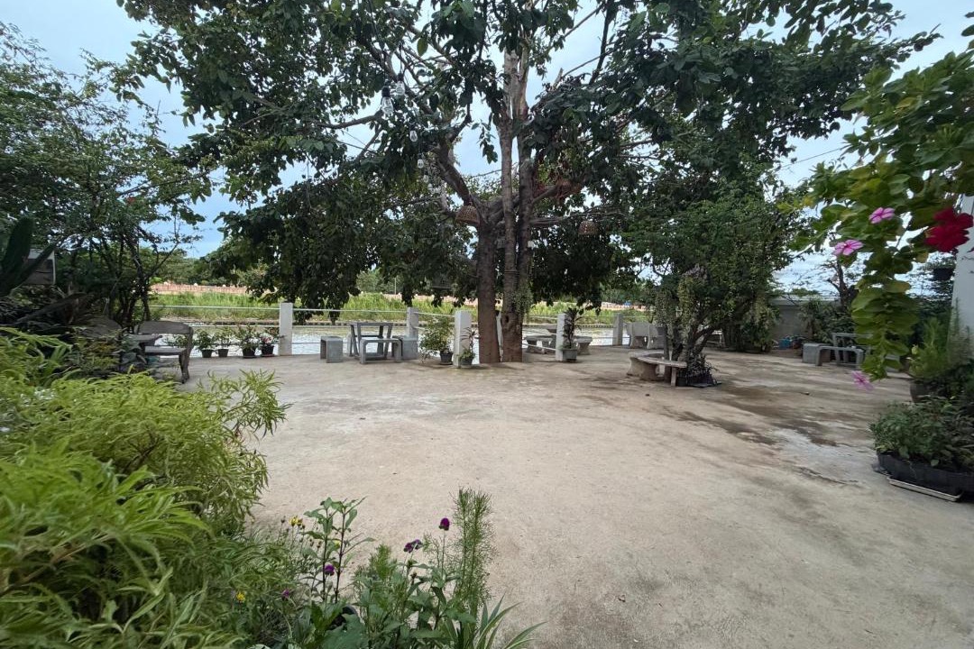 Photo of Others in Ayutthaya