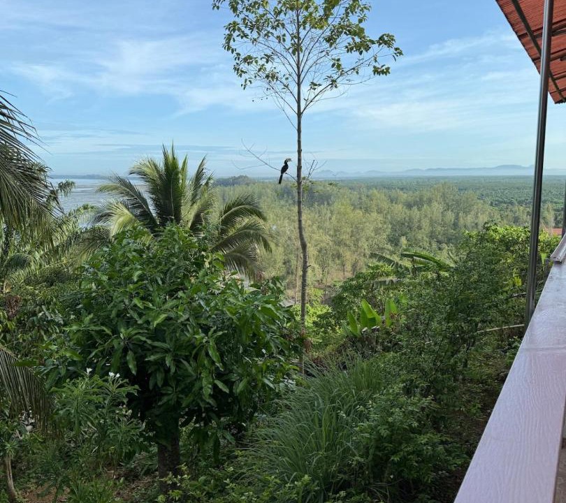 Photo of Others in Sikao