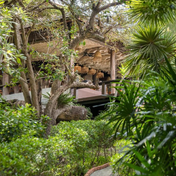 Photo of Others in Koh Tao