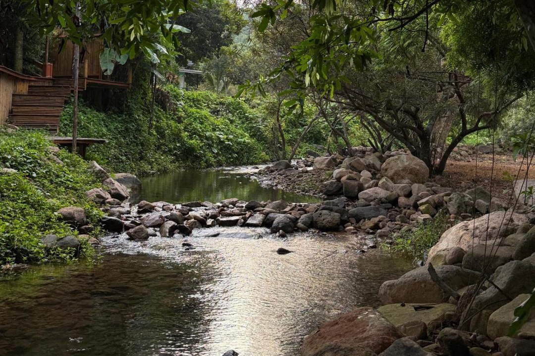 Photo of Others in Khao Yai National Park