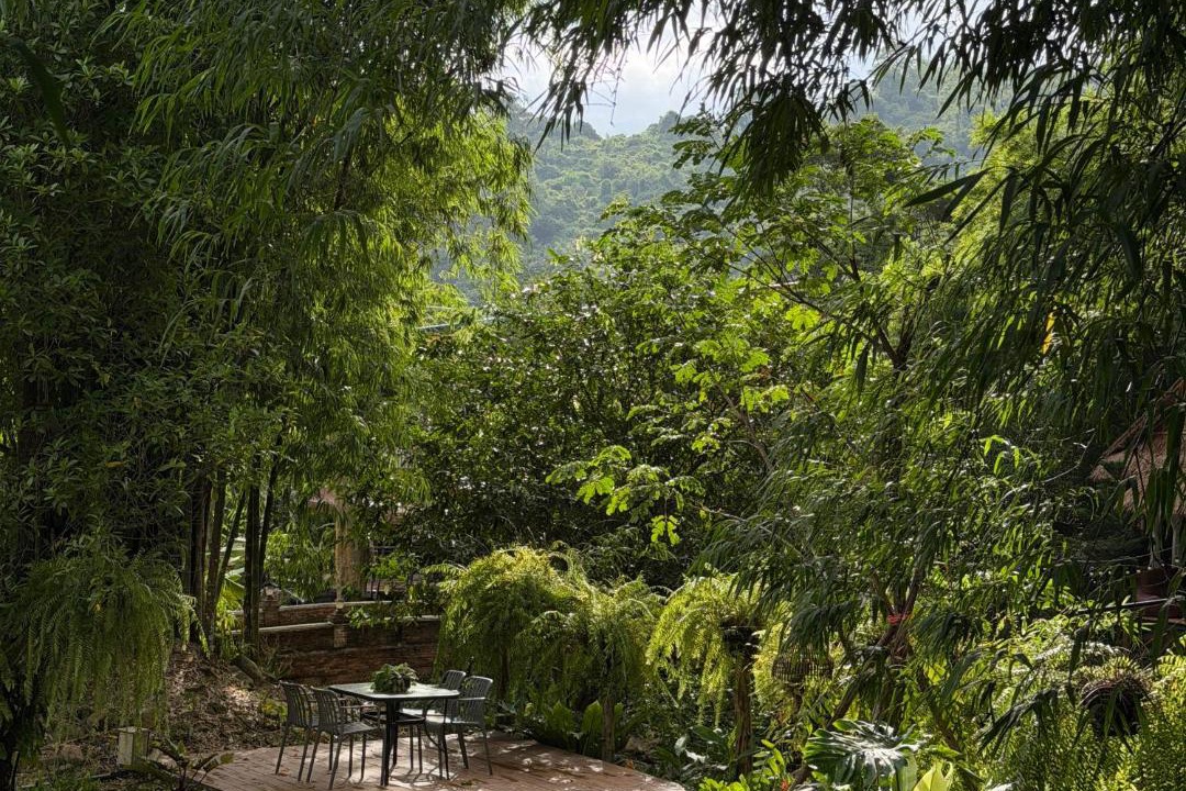 Photo of Others in Khao Yai National Park