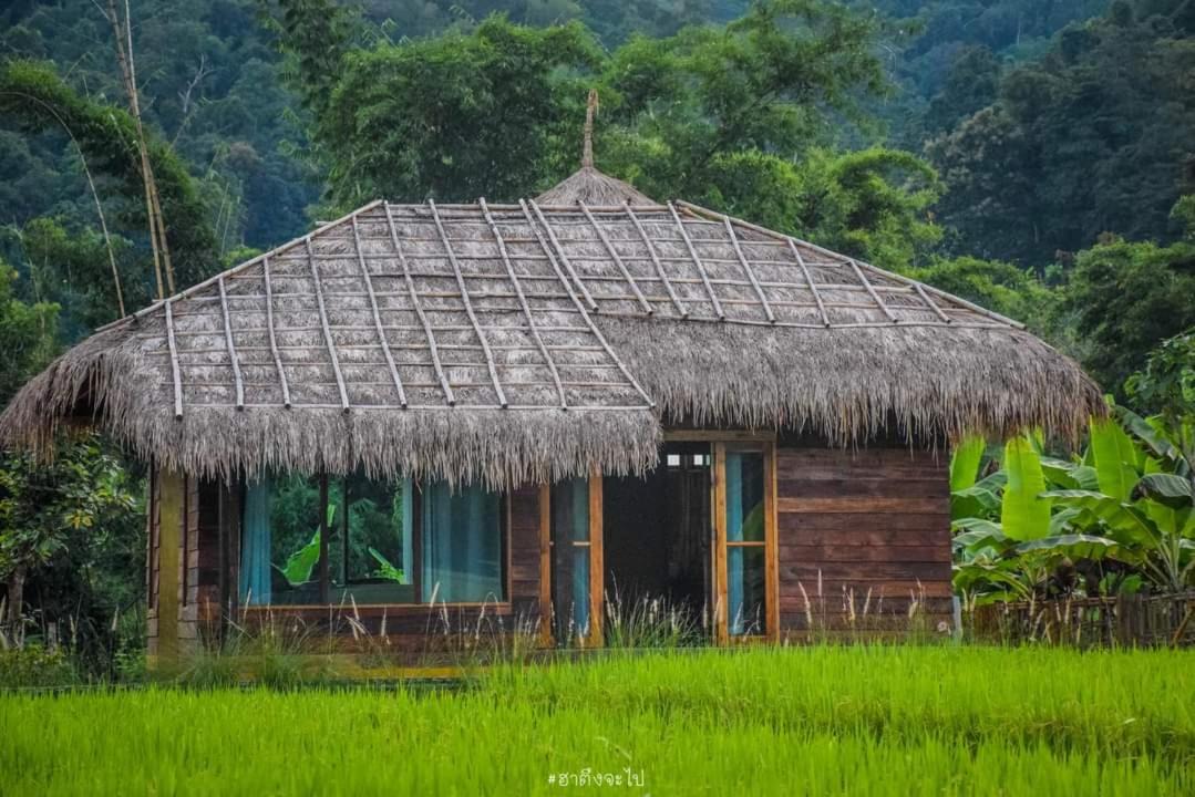 Photo of Others in Ban Ton Lung
