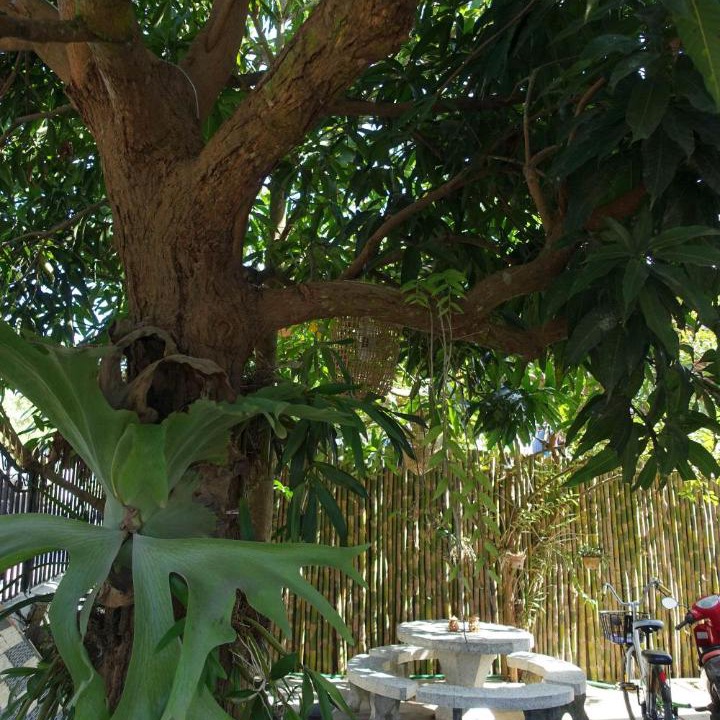Photo of Others in Luang Prabang