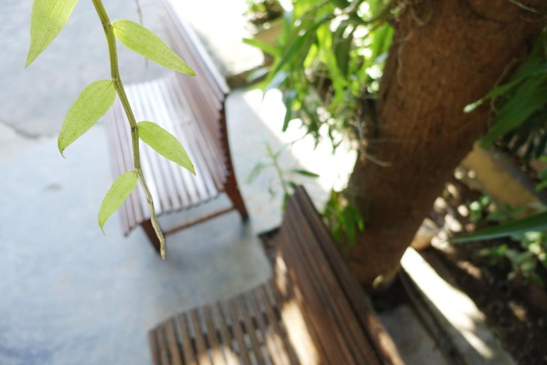 Photo of Others in Luang Prabang