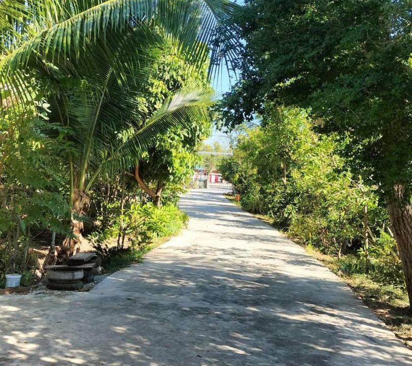 Photo of Outdoor in Lam Plai Mat