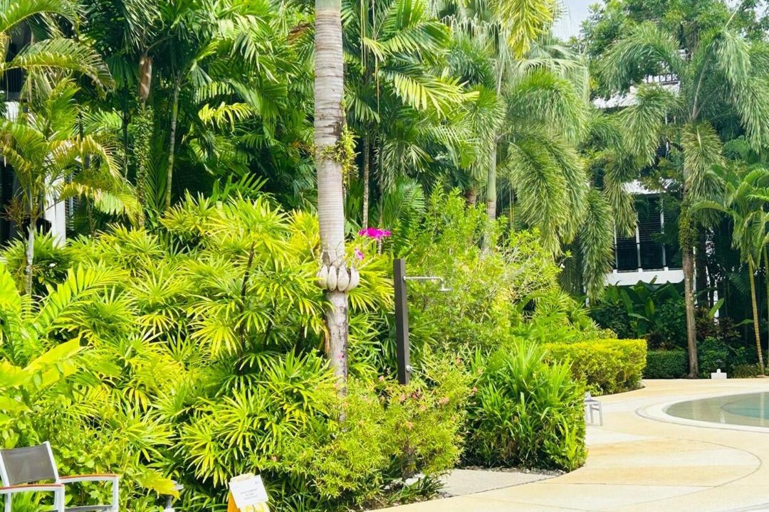 Photo of Others in Cherngtalay