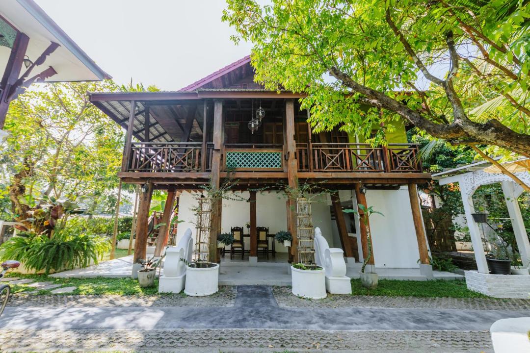 Photo of Others in San Phak Wan