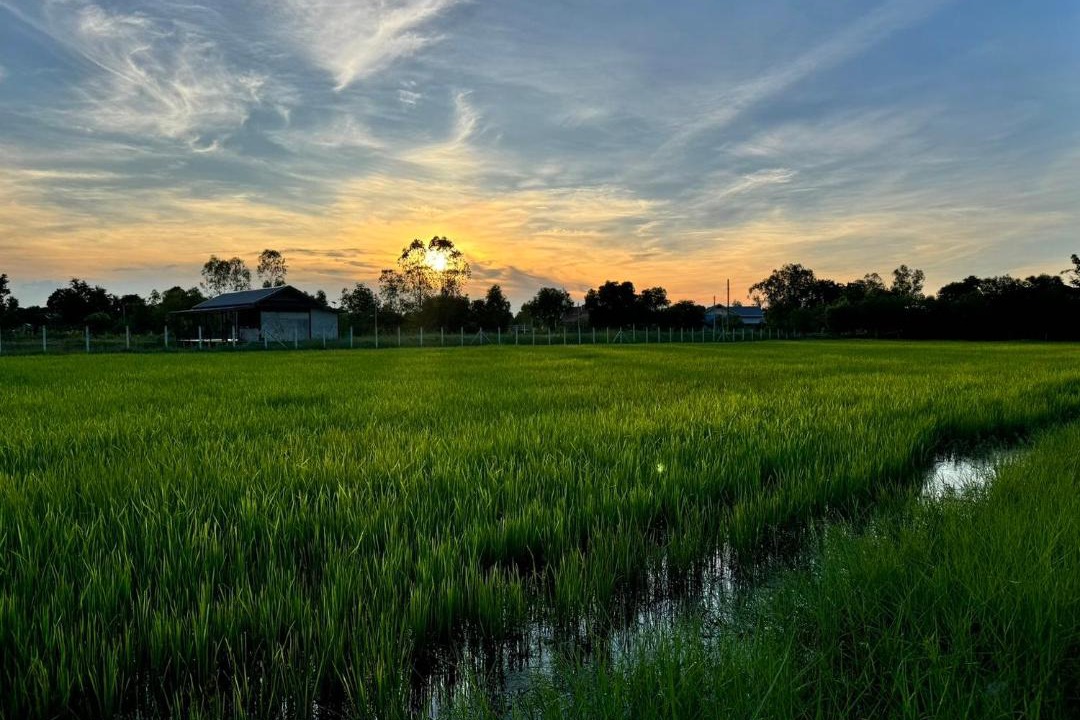 Photo of Others in Chiang Phin