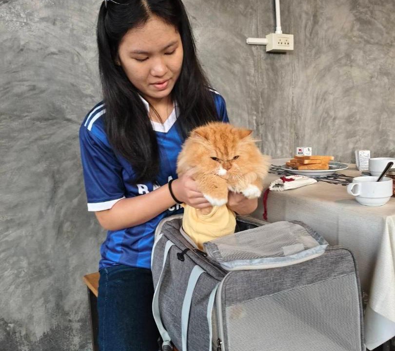 Photo of Others in Ban Luang
