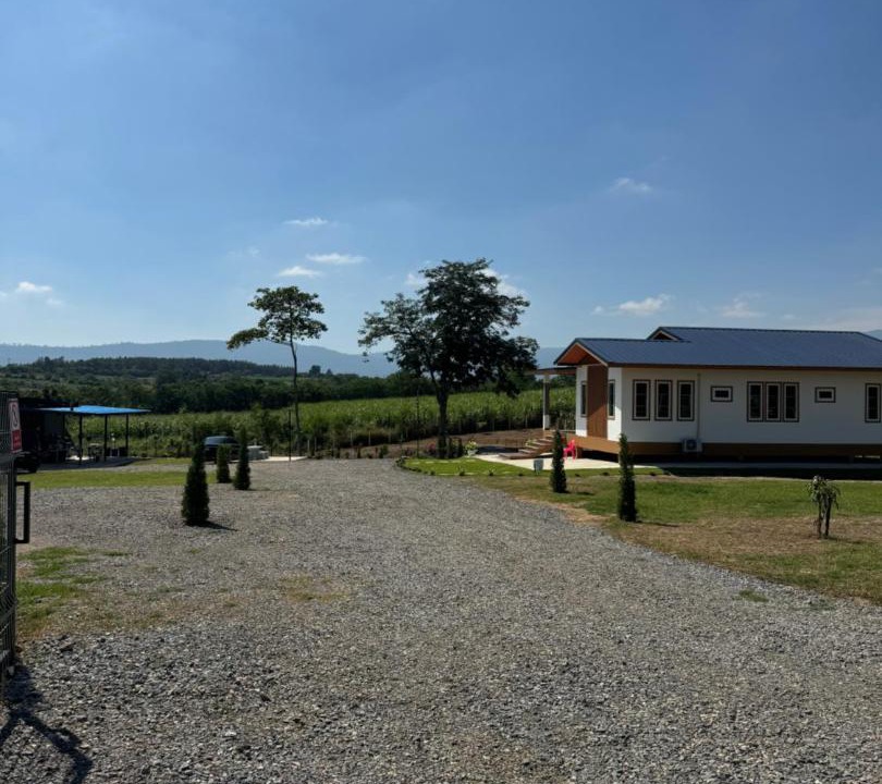 Photo of Others in Pong Ta Long
