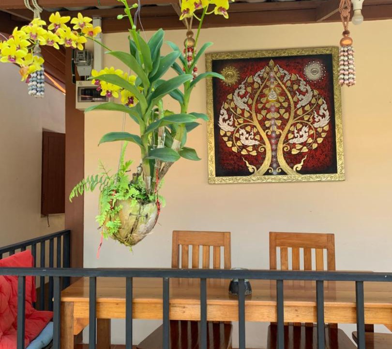 Photo of Others in Chiang Khan