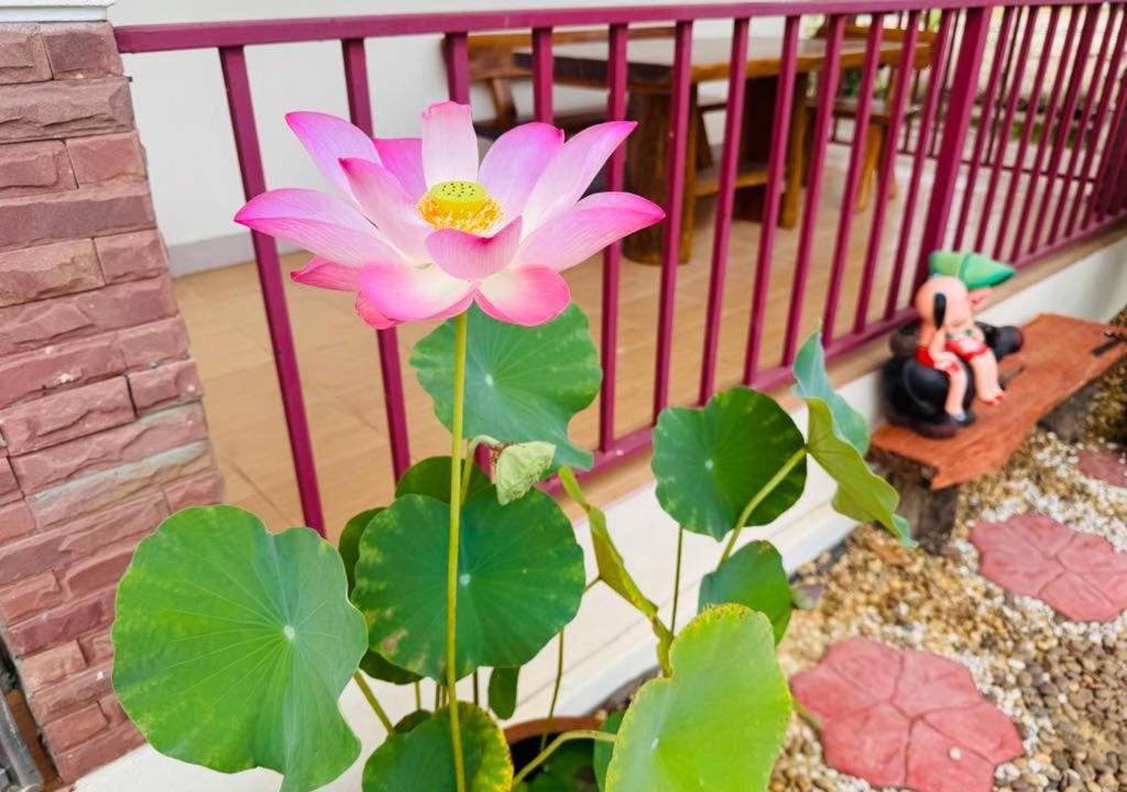 Photo of Others in Rong Khe