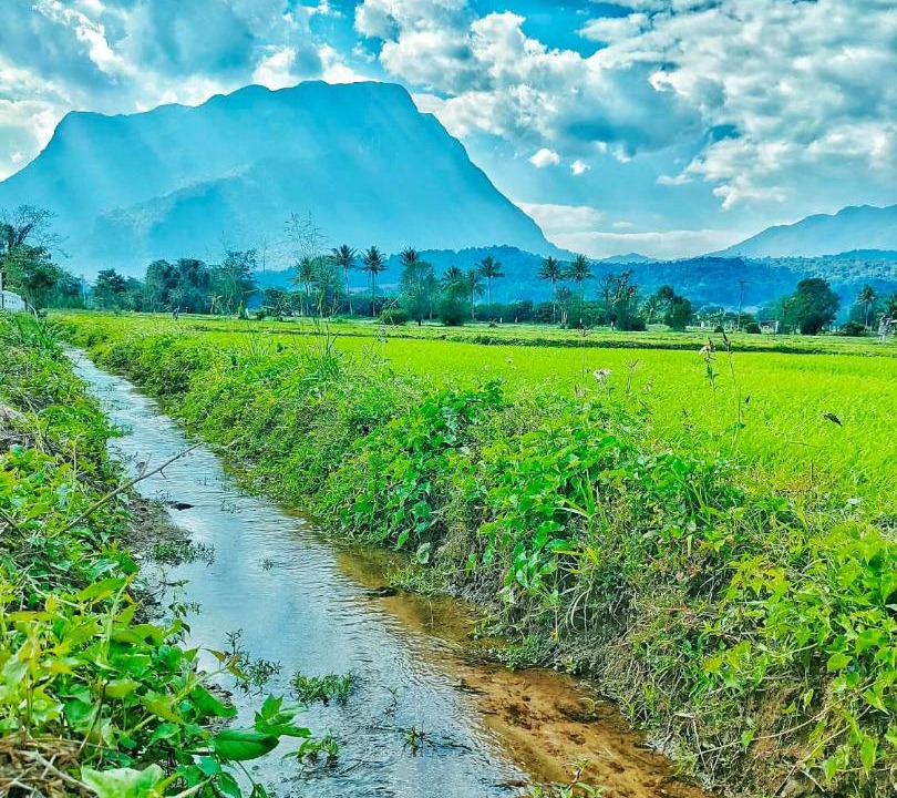 Photo of Others in Chiang Dao