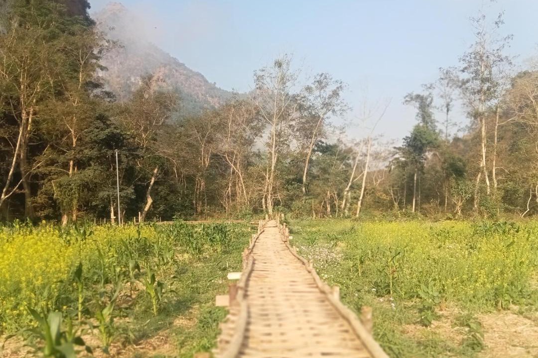 Photo of Others in Louangphabang