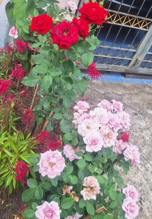 Photo of Outdoor in Betong