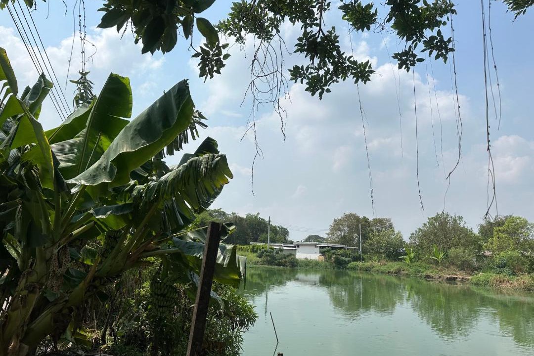 Photo of Others in Lat Krabang