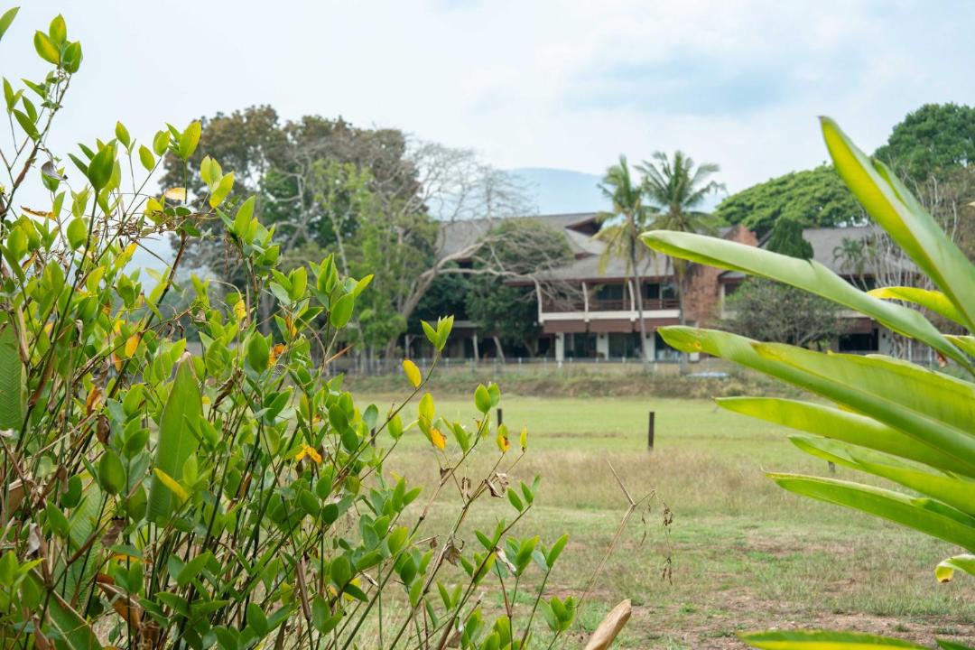 Photo of Others in Mae Rim