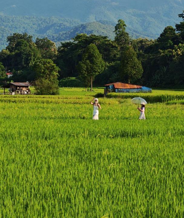 Photo of Others in Pua