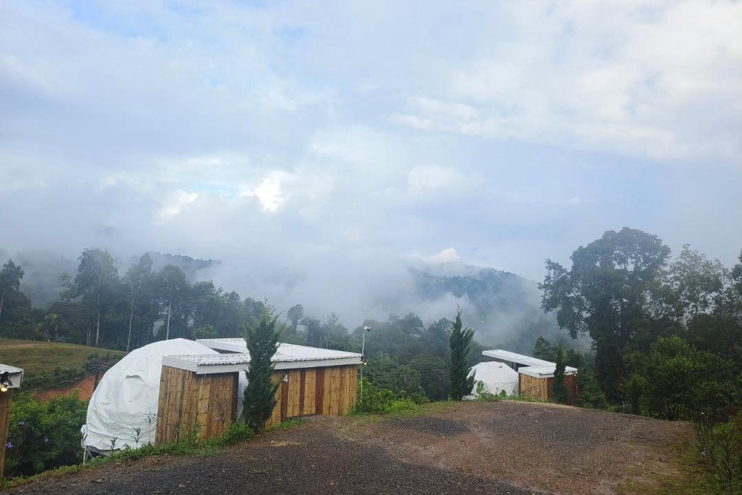 Photo of Others in Ban Ton Lung